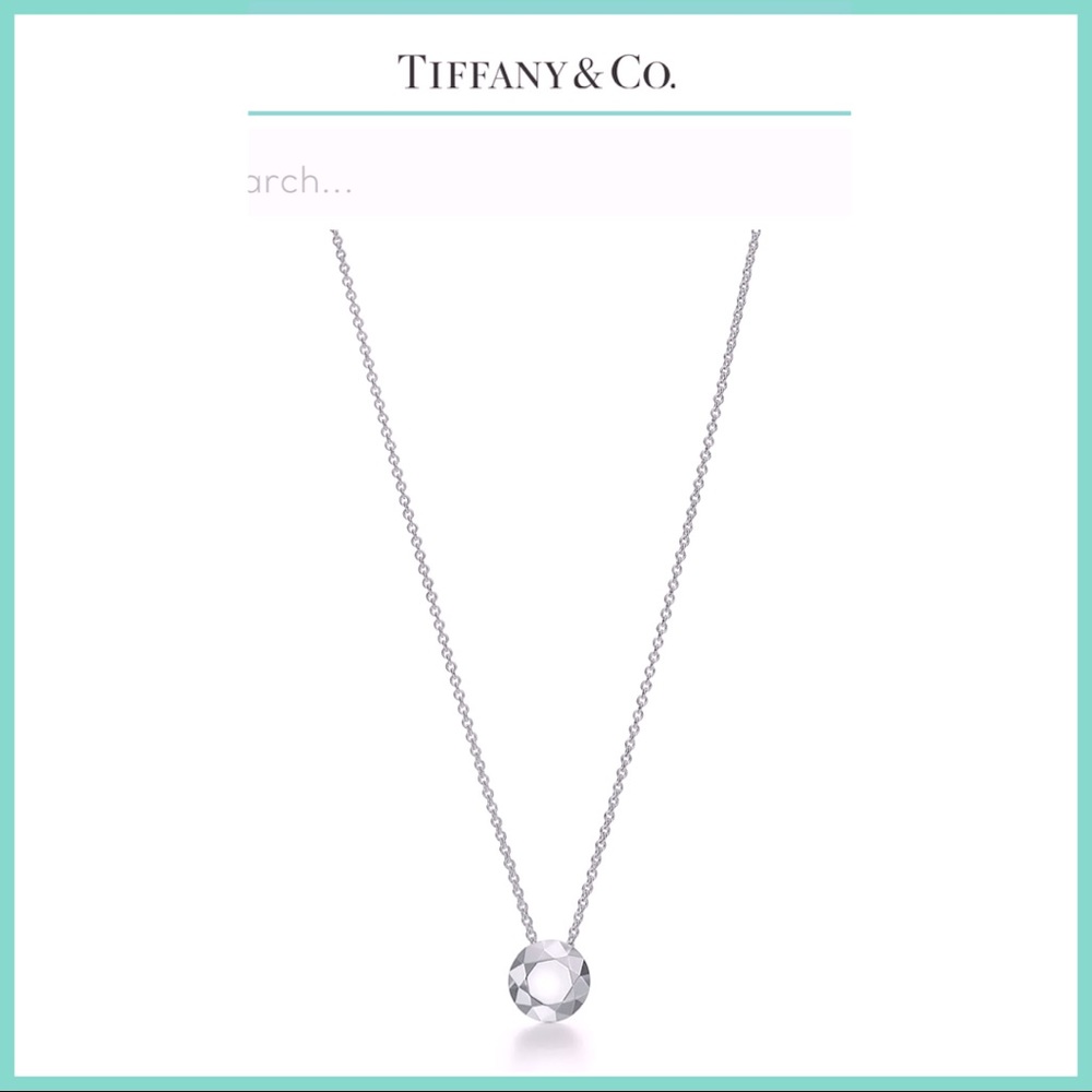 Authentic Tiffany & Co. Elsa Peretti 2 Carat Faceted Pendant